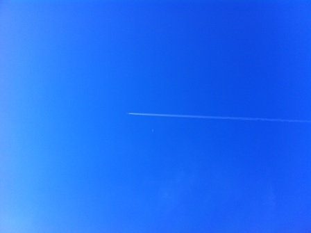ひまわり畑から見た飛行機雲